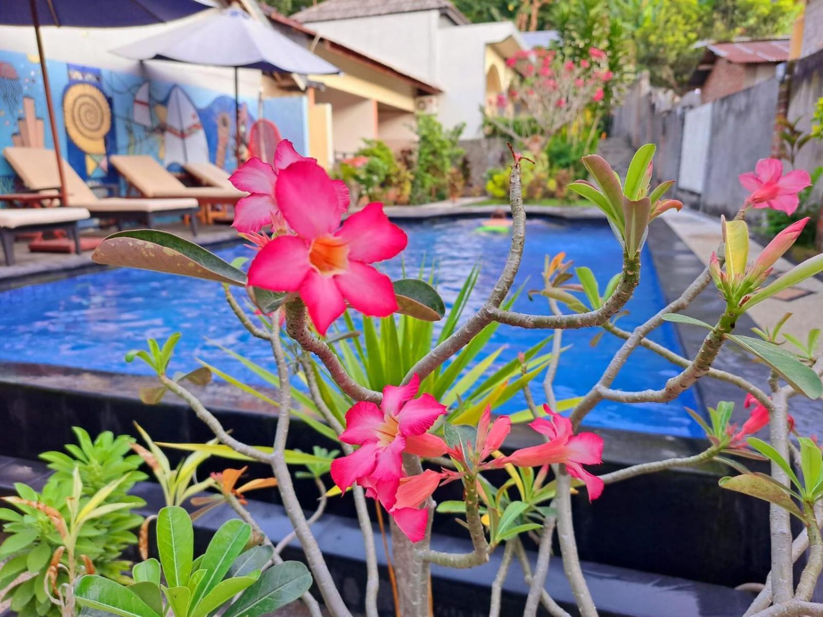 Family Garden Homestay Senggigi Eksteriør bilde